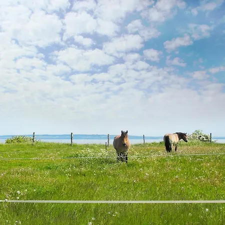 Schoene 2-raum-ferienwohnung Mit Terrasse - Haus Ostseeblick 1 Backbord *